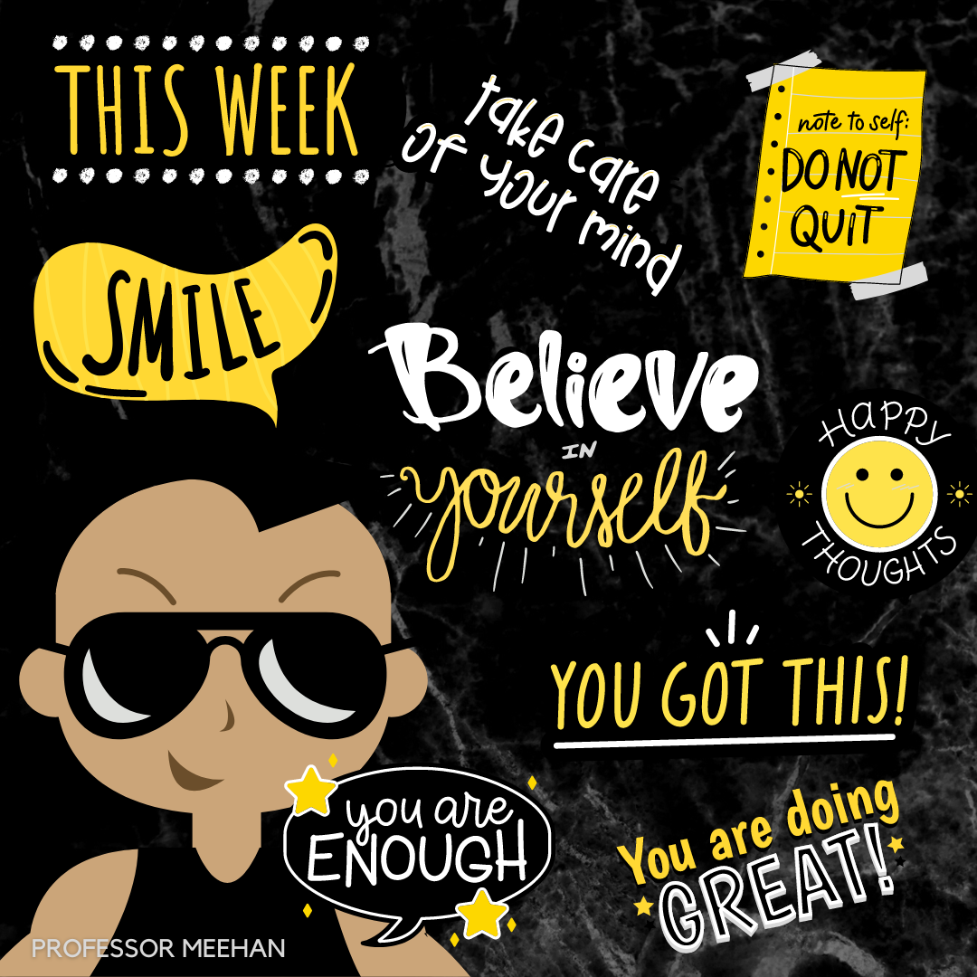 Professor Michael Meehan 